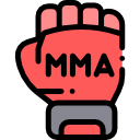 UFC MMA