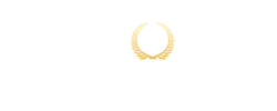 Vipcasino review 0